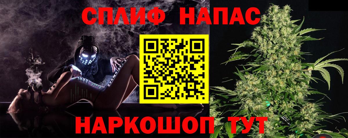 Бошки Шишки сатива Канаш
